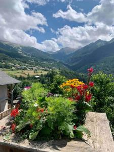 a bunch of flowers on a ledge with a view at Les Orres 1650: Centre Station avec garage in Les Orres