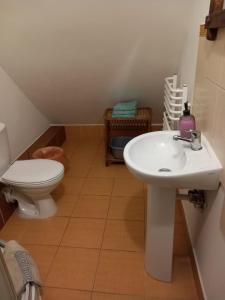 a bathroom with a white sink and a toilet at Strażnica Komtura in Mikołajki