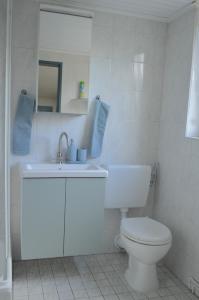 La salle de bains blanche est pourvue de toilettes et d'un lavabo. dans l'établissement Brigg im Schiffehaus, à Wangerland
