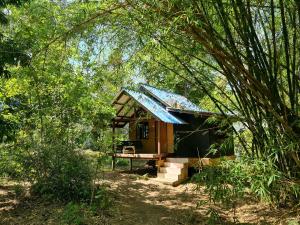 ein kleines Haus mit blauem Dach im Wald in der Unterkunft The Wild Side in Baan Tai