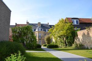 Vrt pred nastanitvijo B&B 't Withuis