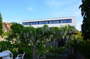 Vrt pred nastanitvijo B&B 't Withuis