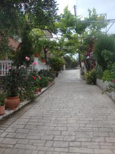 Gallery image of Nikolaou Thomas House in Parga