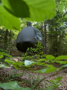 a black object in the middle of a forest at WisiLas Nad Sercowym Potokiem in Rabka