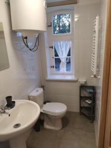 a bathroom with a toilet and a sink and a window at Apartamenty Cegiełka in Gąski