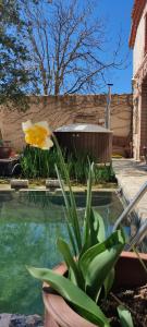 Bazén v ubytování Viento de Ladera PISCINA NATURAL y JACUZZI EXT nebo v jeho okolí