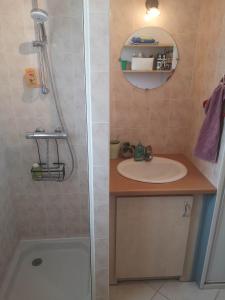 a bathroom with a sink and a shower at Caravane Vintage Esparadenn l'esprit d'antan in Guengat
