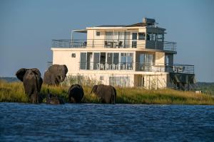 a herd of elephants standing in front of a building at Chobe Princess by Mantis in Kasika