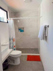 uma casa de banho com um chuveiro, um WC e um lavatório. em Casa Violetas em Oaxaca de Juárez
