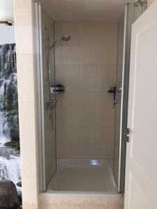 a shower with a glass door in a bathroom at Ferienwohnung Eifel-Roedis in Blankenheim