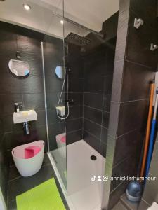 a bathroom with a shower and a toilet and a sink at LOC'MARIA in Sauzon