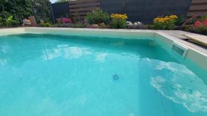 Gallery image of Velence Lakeside Pool House in Velence