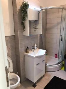 La salle de bains est pourvue d'un lavabo, d'une douche et de toilettes. dans l'établissement Luxury apartments - Otoka Sarajevo, à Sarajevo