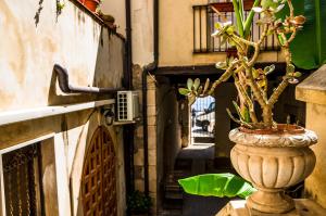Fotografie z fotogalerie ubytování Case Triscele - B&B v destinaci Siracusa
