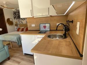 - une petite cuisine avec évier dans une petite pièce dans l'établissement Coqueto Estudio junto a Sierra Nevada, à Güéjar-Sierra