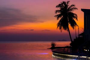 a palm tree and the ocean at sunset at Vannee Golden Sands Beachfront Resort in Haad Rin