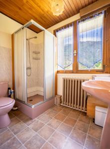 een badkamer met een douche, een toilet en een wastafel bij Cabana & Le Chalet de Saint-Jean in Courchevel