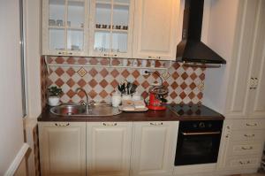 cocina pequeña con fregadero y fogones en Marko's Place Apartment en Skopje