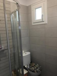 a bathroom with a shower and a toilet and a window at NA House 2 in Nea Kallikrateia