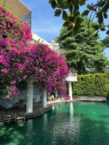 a swimming pool with pink flowers and a building at Jade Waters Apt 02 in Candi