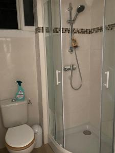 a bathroom with a toilet and a glass shower at APPARTEMENT Studio neuf bas de villa Gorges du verdon à RIEZ in Riez