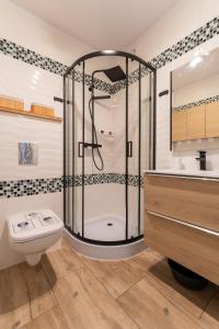 a bathroom with a shower and a toilet and a sink at Apartament Strumykowy Zakątek - w centrum z prywatnym parkingiem - Space Apart in Karpacz