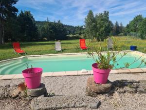 twee potten met planten naast een zwembad bij Jade room in Saint-Romain-Lachalm