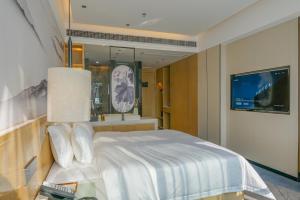 TV a/nebo společenská místnost v ubytování Paco Hotel Shenzhen Luohu Port
