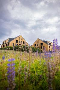 two buildings in a field with purple flowers at Apartmány Florián in Kvilda
