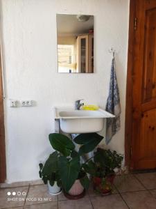 baño con lavabo y espejo en la pared en Guest House Doktor Eismann, en Chychkan