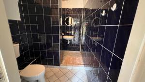 a black tiled bathroom with a toilet and a sink at Wydmy Helskie in Hel