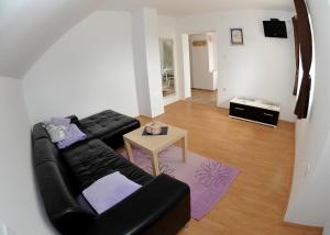 Televízia a/alebo spoločenská miestnosť v ubytovaní Apartments Žugec