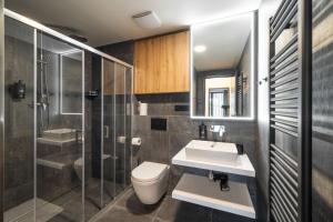 a bathroom with a toilet and a sink and a shower at Apartmány Florián in Kvilda