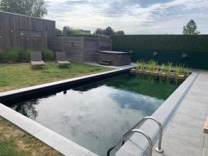Bazén v ubytování Q Guesthouse nebo v jeho okolí