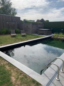 a swimming pool with two chairs in a yard at Q Guesthouse in Herzele