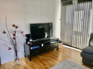 TV a/nebo společenská místnost v ubytování Fjällbacka Centralt