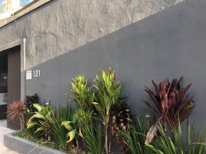 a bunch of plants in front of a building at CykelHaus Studios in Sao Paulo