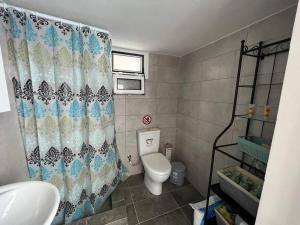 ein Badezimmer mit Toilette und Duschvorhang in der Unterkunft Modern Stylist House for Friends in Iraklio + 20 Fotos