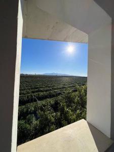 een uitzicht op een veld vanuit een raam van een huis bij Villa Garibaldina in Treglio