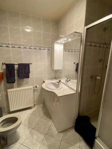 a bathroom with a toilet and a sink and a shower at Gîte 4 personnes - Pleine nature in Morbier