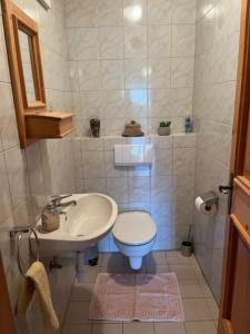 a small bathroom with a toilet and a sink at Stegerbauer in Kirchbichl