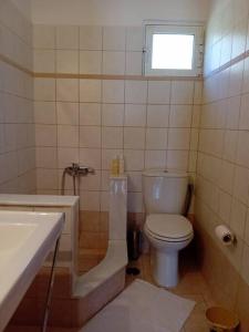 a small bathroom with a toilet and a sink at Mirto’s House in Tripótama +29 photos
