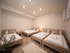 a room with two beds in a room at Sweet Dreams Apartment in Zator