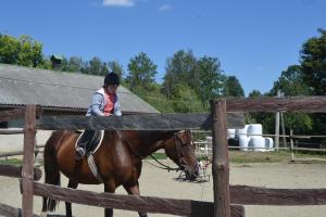 a woman is riding a horse behind a fence at Sokolisko - pensjonat agroturystyczny in Wysoczany