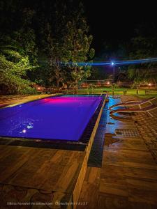 uma piscina à noite com uma piscina azul em Birds Paradise Inn em Udawalawe