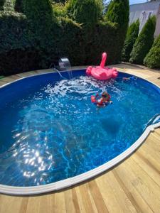 a small pool with a toy in the water at Jantarowy Sen in Jantar