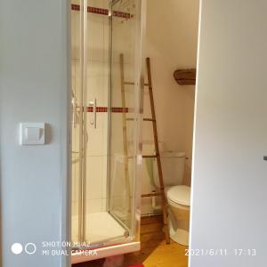 a glass shower in a bathroom with a toilet at La Chaumière de Mauvrain in La Celle-sur-Nièvre