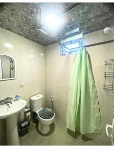 y baño con aseo y lavamanos. en Зелёный двор, en Kobuleti