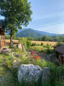 a garden with rocks and flowers and a tree at Cabana Vanatorului 8 in Râşnov