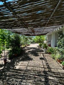 a patio with a wooden pergola and some plants at Domo Austinu - Abbasanta in Abbasanta